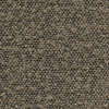 ASCOT | mouse 2405 ASCOT | mouse 2405