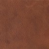brown 6001 brown 6001