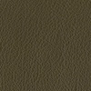 8111 olive 8111 olive