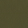 8116 avocado 8116 avocado
