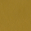 8118 citrin 8118 citrin