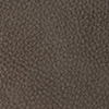 terra 2289