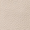 ivory ivory