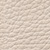 ivory ivory