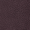 mauve mauve
