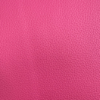 fuchsia fuchsia