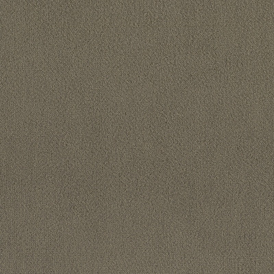 SHITAKE-124