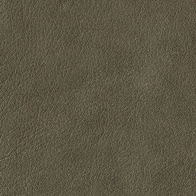 RAW SCHLAMMGRAU