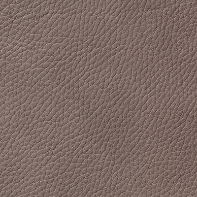 Clay