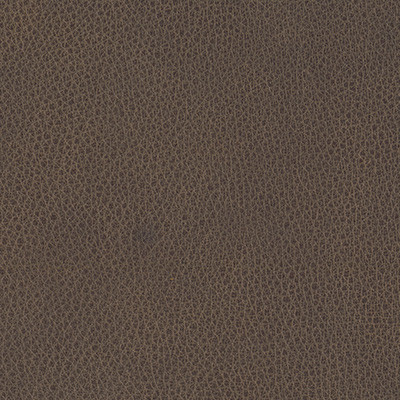 BARK 351