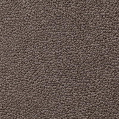 Elefant