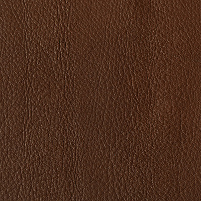 RAW TEAK