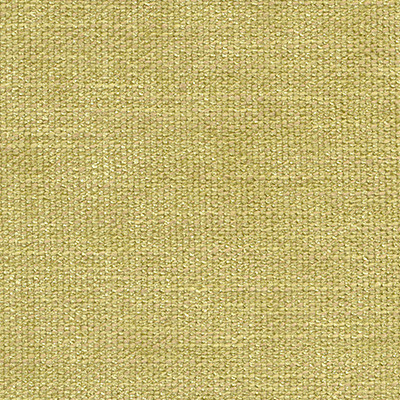 CITRIC 1169