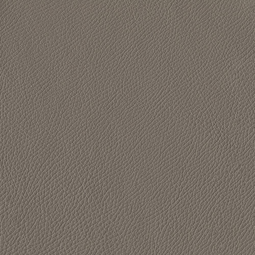 1603 elefante