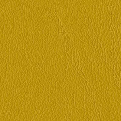 SENF 1649